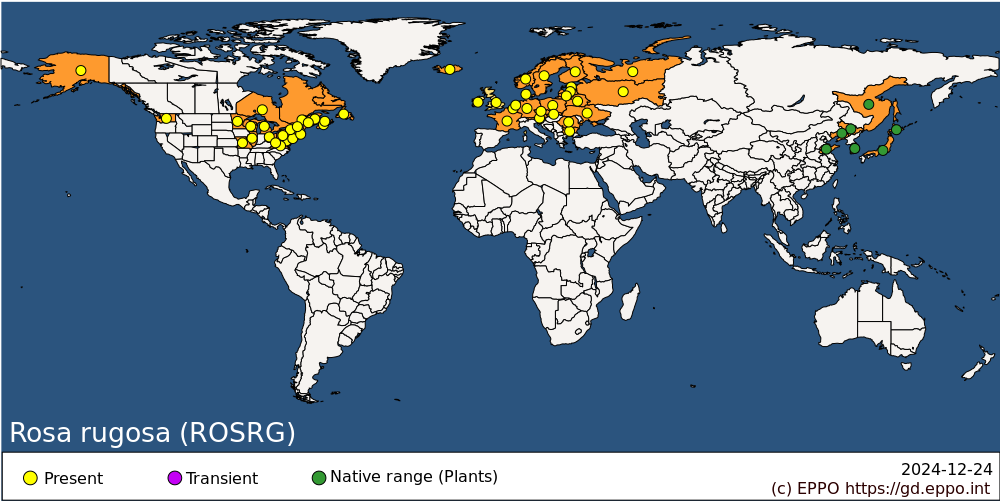 玫瑰分布圖（from EPPO Global Database)